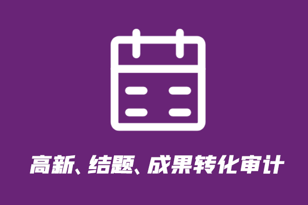 高新、结题、成果转化审计